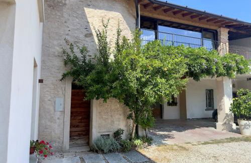 B&Bike la vetrata sui vigneti - Foto 44