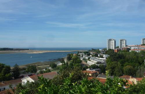 Apartamento vista Douro e Mar - Foto 46