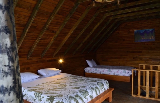 Bigoşa Bungalov - Foto 5