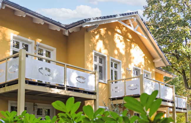 Zaunkönig - Foto 26