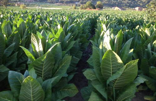 Hotel Rural Robles - Foto 8