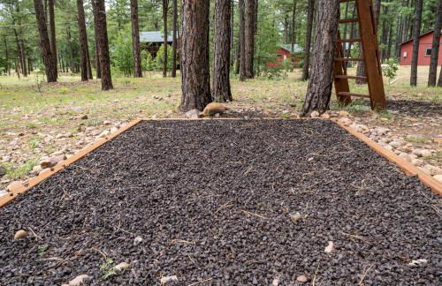 The Lodge Large Cabin, 17 Acres, Playground, Forest Access - Foto 54