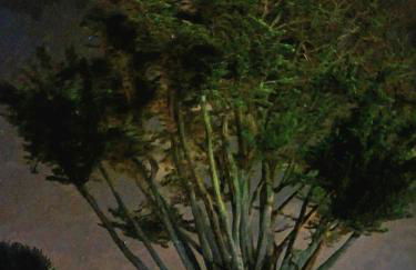 Appartement 91 Palais des Gouverneurs Jardin Piscine couverte et exterieure Sauna Hammam Fitness Clim - Foto 55