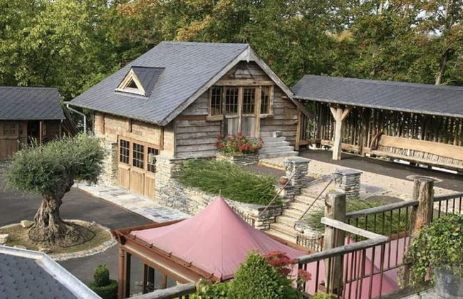 Vielsalm Stay With Furry Friends - Photo 46