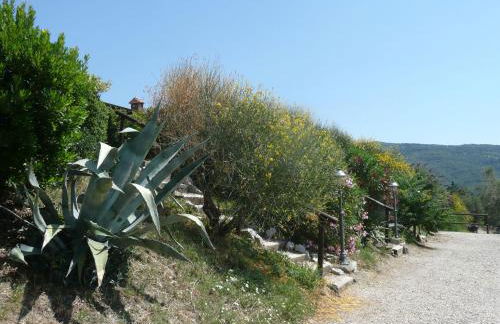 Agriturismo Annibale - Foto 58