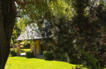 Dom Aga Bieszczady 10 osobowy - Foto 16