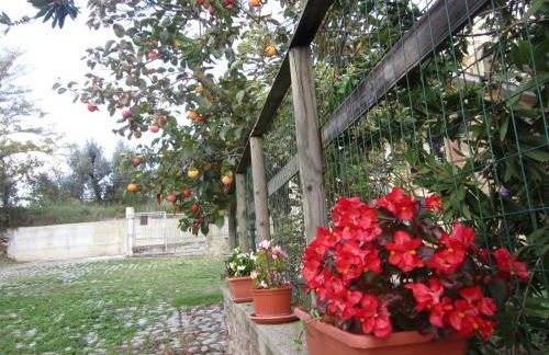 Casa l'Arcobaleno - Foto 15