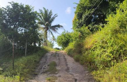 Sítio das Imbiribas Natureza em Igarassu - Foto 3