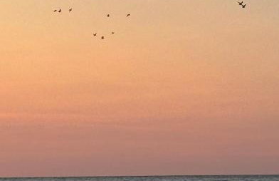 Apartamenty nad morzem Przy klifie 3 Dębina - Foto 46