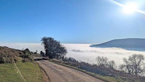 Trinity Cottage - Foto 2