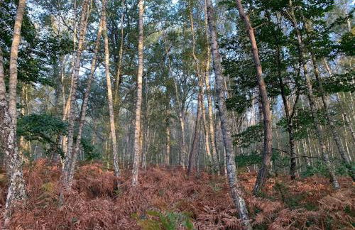 Domaine des Quatre Vents - Foto 31