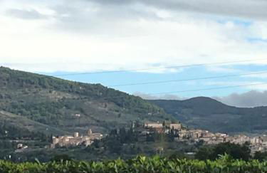 Le Ghiande - Foto 61