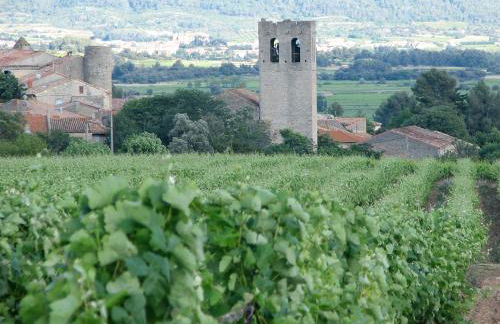 Maison vigneronne de Bonne Maman - climatisée - Foto 64
