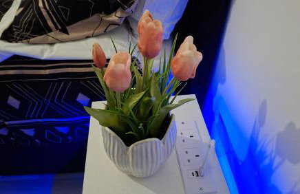 The White House - Photo 58