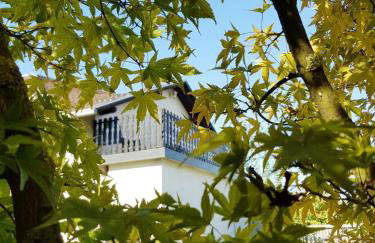 Studio apartman Gradna - Foto 19