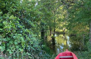 Gîte au cœur du Marais mouillé (2 à 4 pers - 60m²) - Foto 2