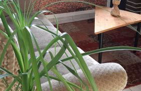 Ferienwohnung bei Schoones - Foto 12