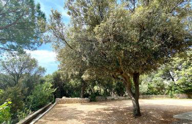 Guesthouse Kurelic Rab - Photo 62