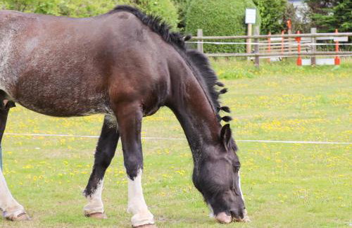 Meols Holiday Lodge - Foto 24