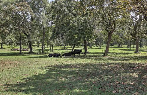 Tranquil Plantersville Cabin Farm Animals On-Site - Foto 25
