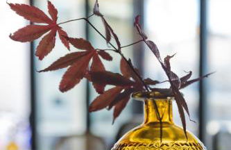 Arcus Luxury Suites Karpathos - Foto 17