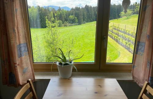 Apartment Am Weinberg - Foto 19