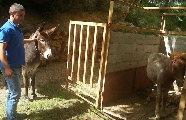 Agriturismo Tenuta del Daino - Photo 16