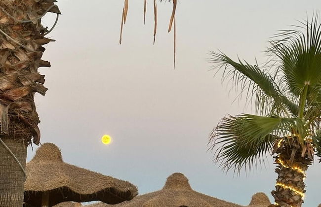 Beach Club Ippocampo - Foto 18