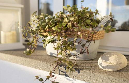 Stay in our Cozy and Wonderful Casa da Rosinha - Photo 77