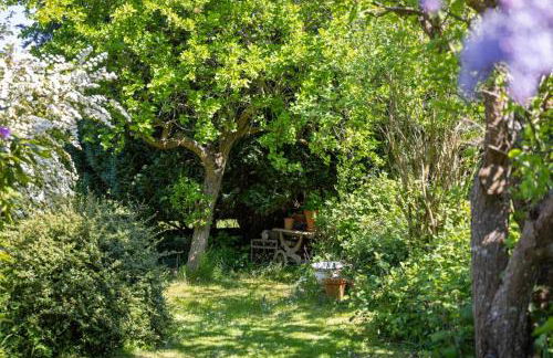 Schleiparadies - Foto 17