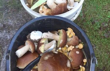 Komfortowy dom wakacyjny dla kilku rodzin - Foto 11