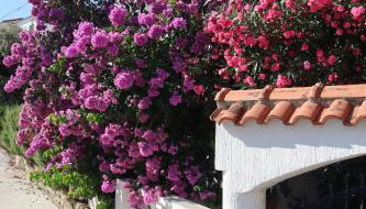 Villa Maris - Foto 3, Garden