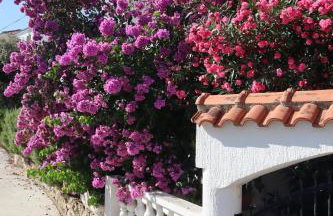 Villa Maris - Foto 3