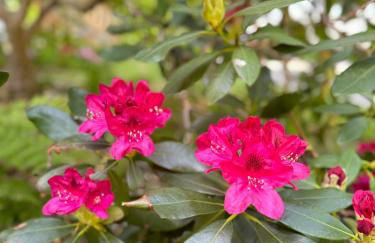 Iron Gate Chalet - 5 Minutes to Smugglers Notch! - Foto 9