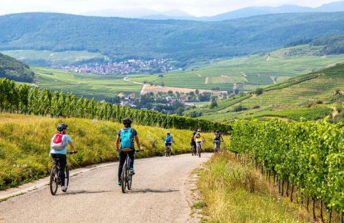 Domaine Bohème I art de vivre - Foto 7