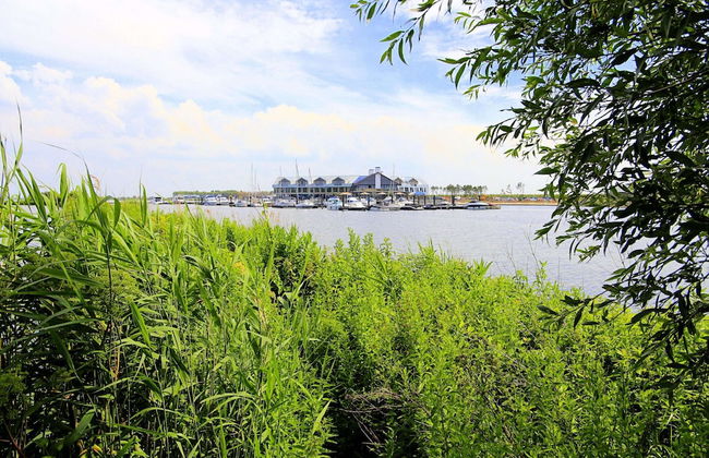 Villa Oesterdam 6 Persons - Photo 11