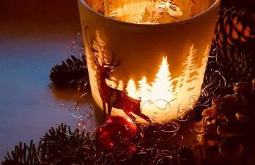 Ferienwohnung im Landhaus am Nationalpark - Foto 41