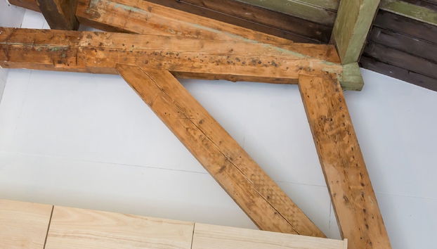 Apartment in Koudekerke Near Seabeach - Foto 2, Habitación