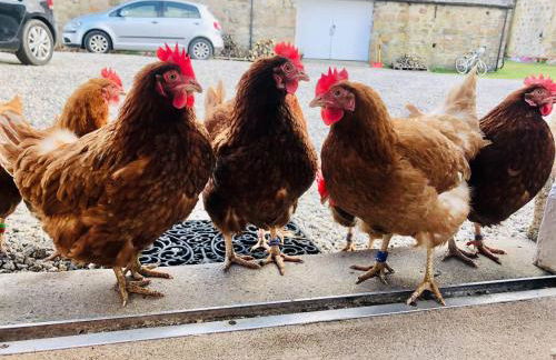 Lettoch Farm Holiday Home - Foto 16