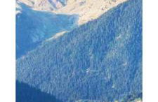 ΟΡΕΙΝΟ ΟΝΕΙΡΟ - Foto 63