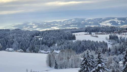 Panorama Bayerwald - Foto 4