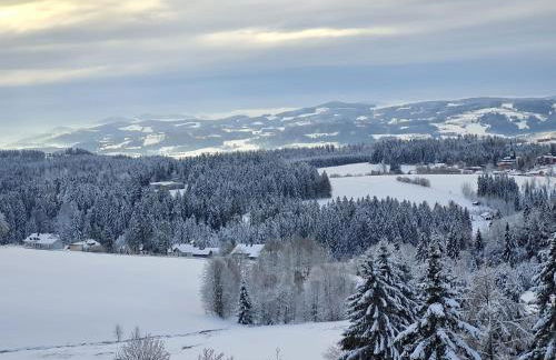 Panorama Bayerwald - Foto 4