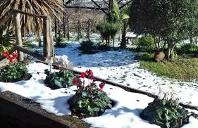 Villa Etna Masi' - Foto 24