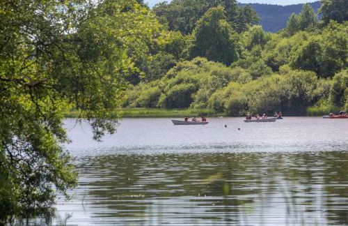 1 Bed in Ty Nant 52510 - Photo 21