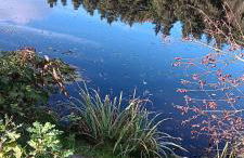 Ferienwohnung Eiblmaier - Foto 11