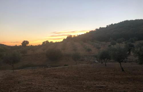 Monte de Stª Margarida - Foto 43