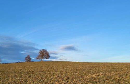 Gîte Terre - 1-4 pers, à 20 mins de Vulcania et du Puy-de-Dôme, 35 mins du Sancy - Foto 37
