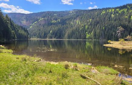 Lieblingsplatz - Foto 25