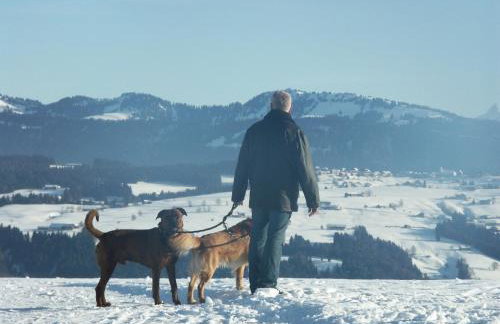 Allgäuvilla - Foto 56