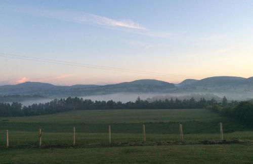 Shepherds Hut in the Hills - Nr. Mold - Foto 16